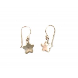 earrings with stars